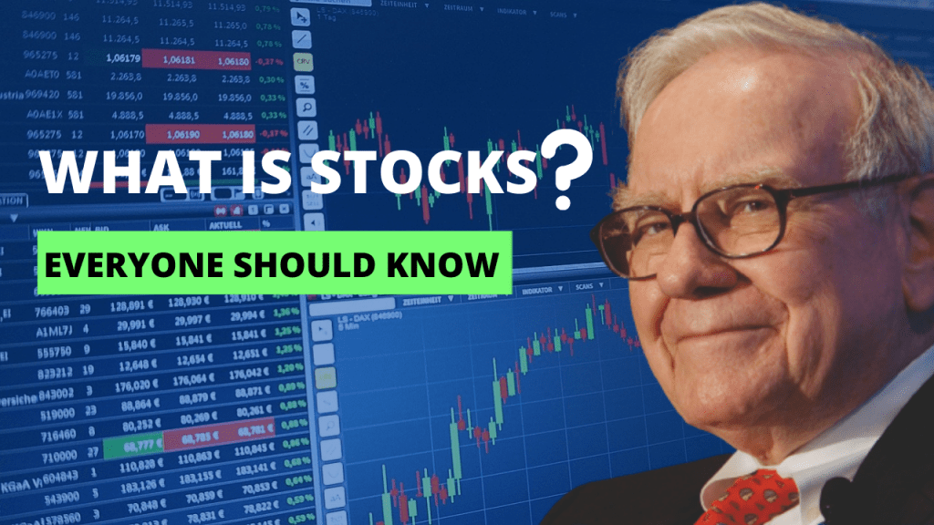Introduction to stocks and shares